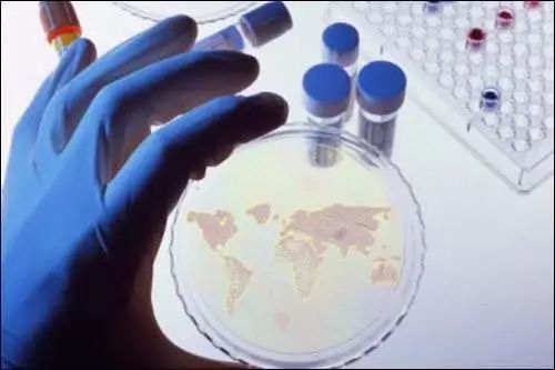 最新預(yù)測報告 未來全球石墨烯的九大發(fā)展趨勢